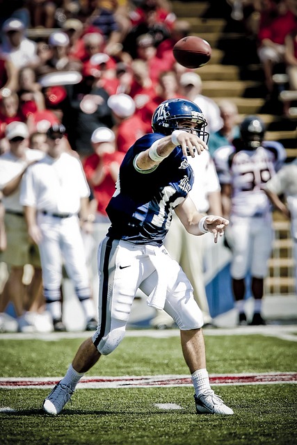 重要体现 重要体现